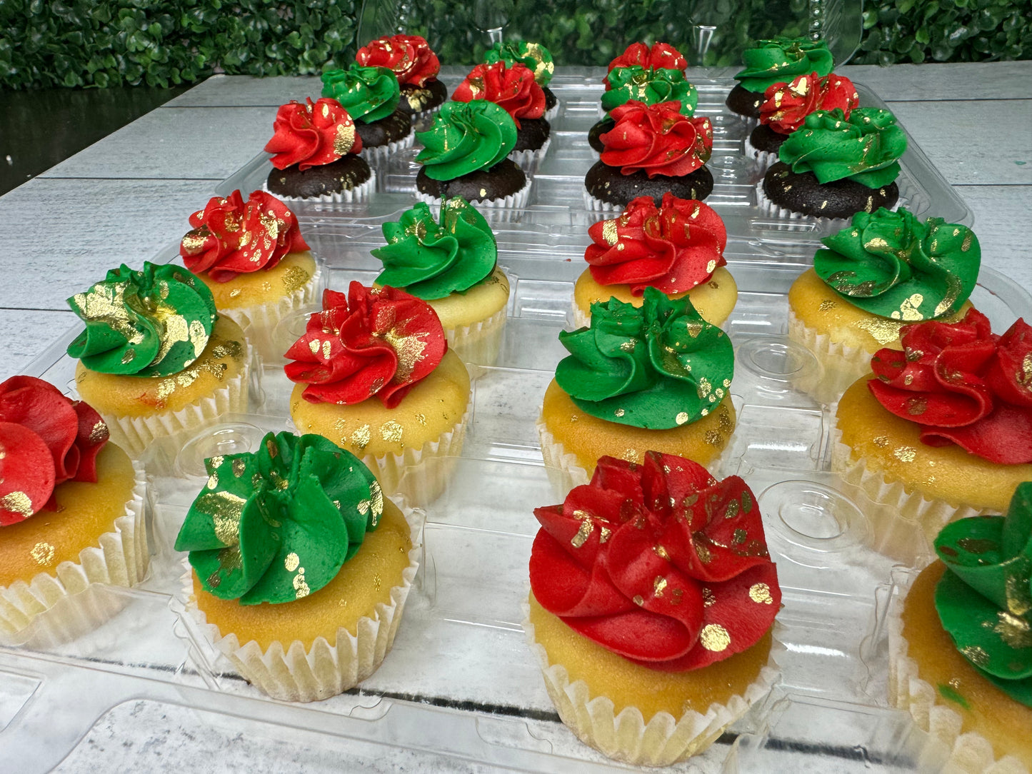 Signature Cupcakes 24HR