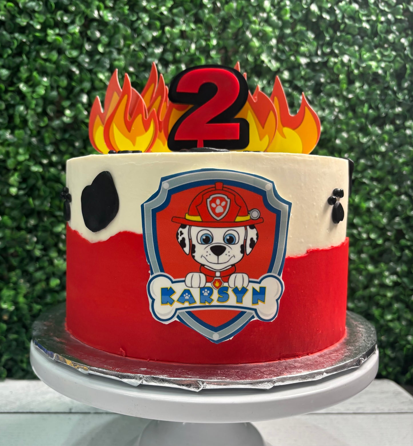 Paw Patrol- Marshall inspired