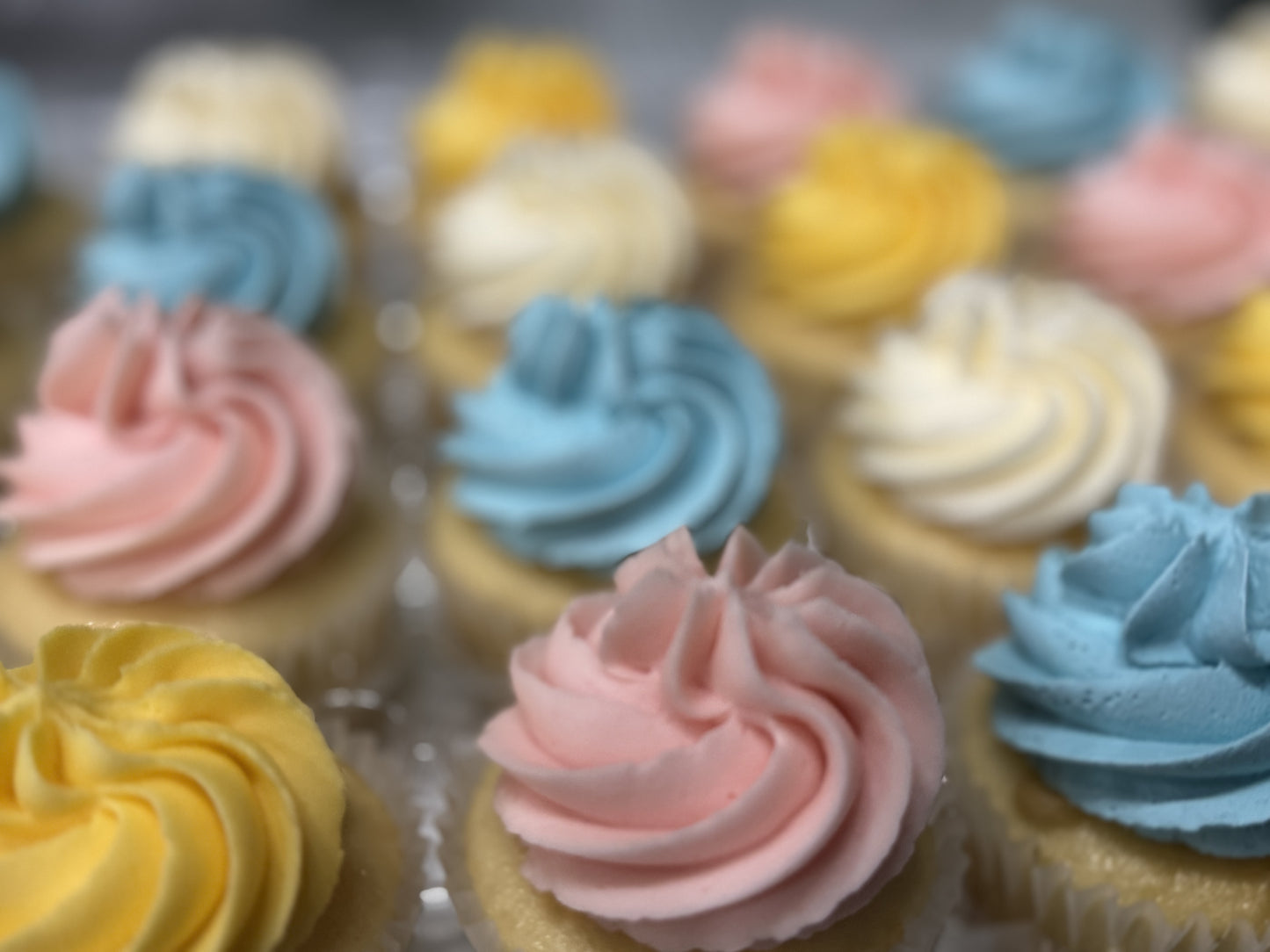 $20 Easter Cupcake Special