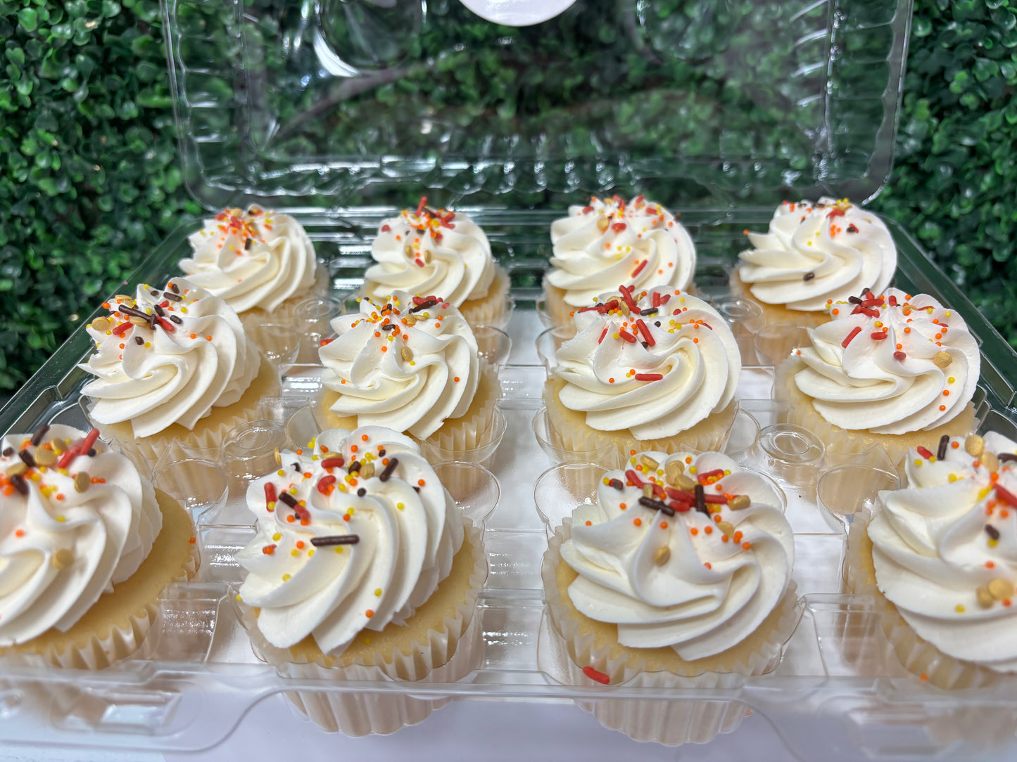 $20 cupcake special!