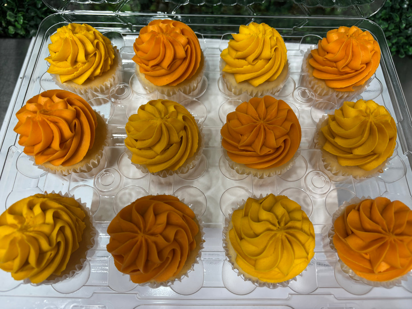 $20 cupcake special!