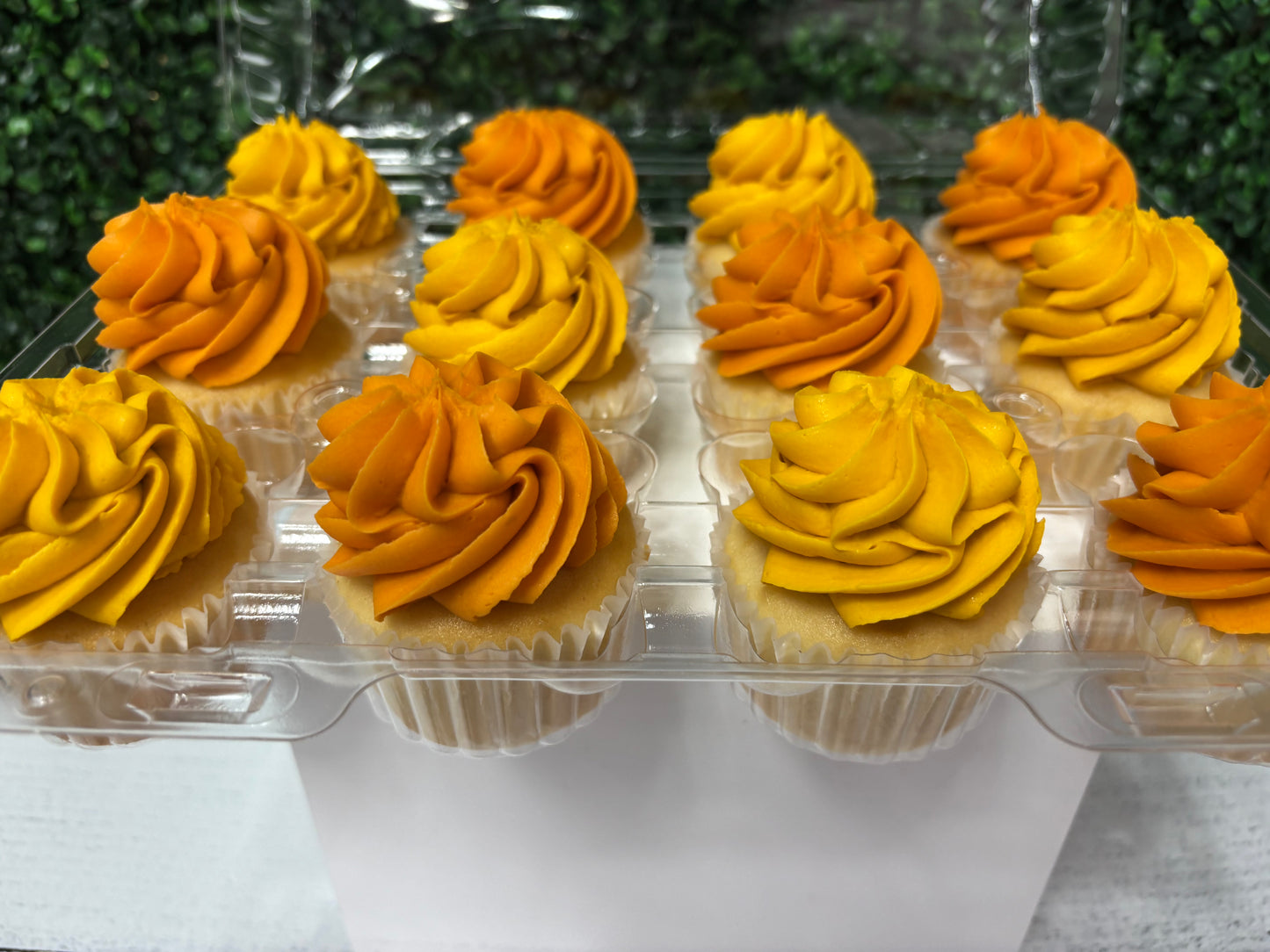 $20 cupcake special!