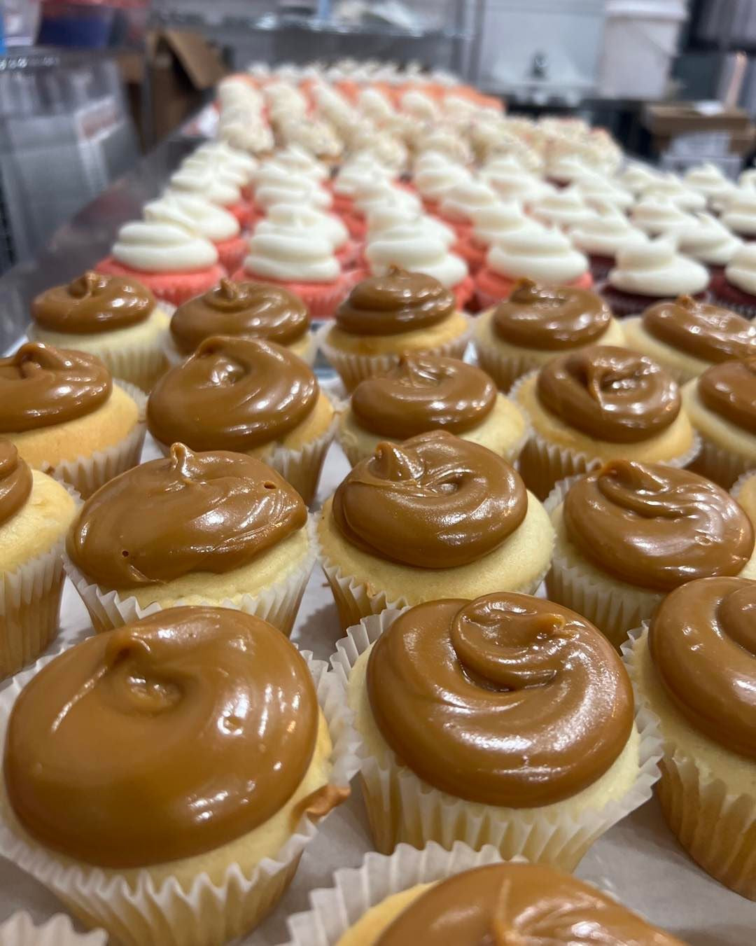 Assorted Cupcakes