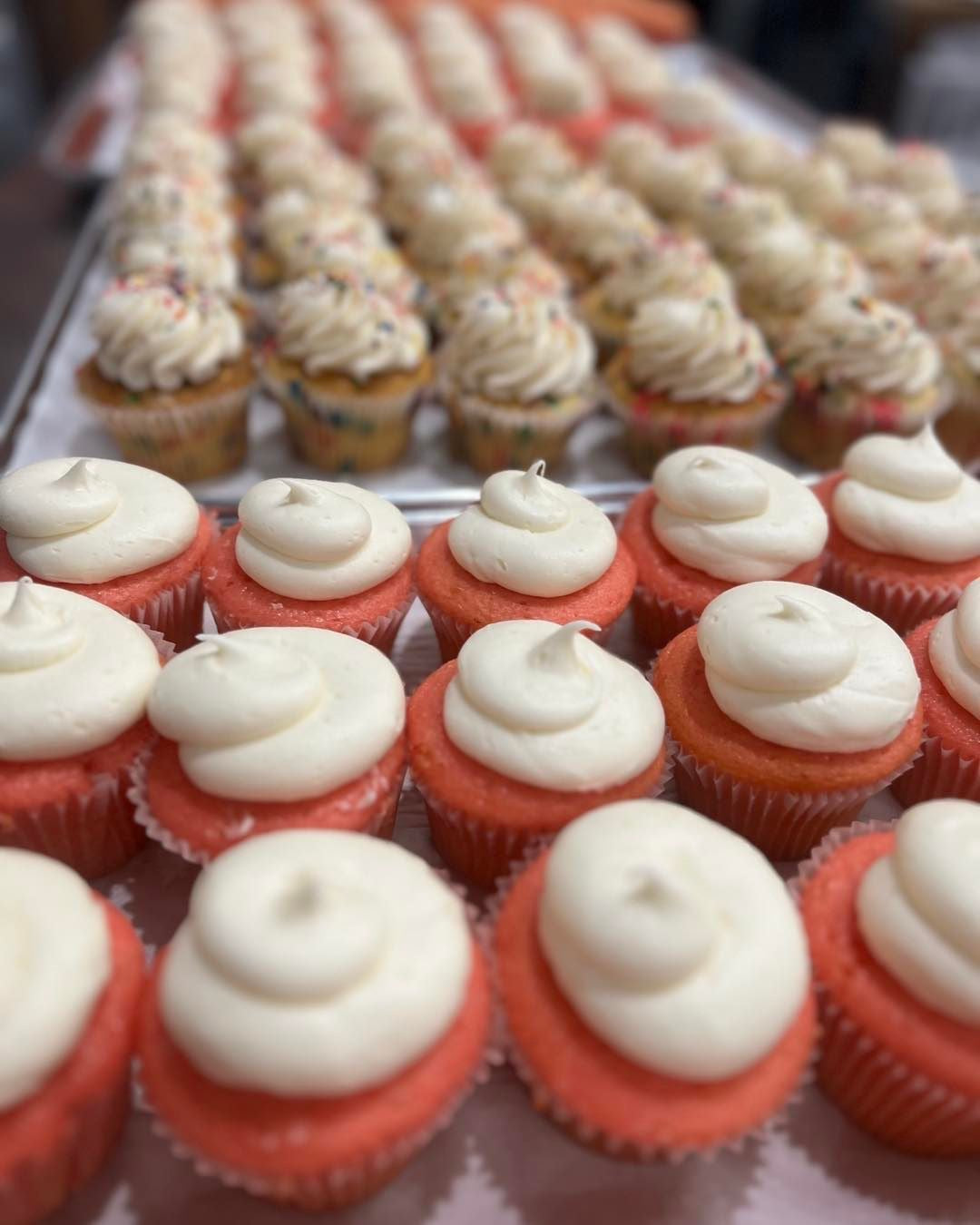 Assorted Cupcakes