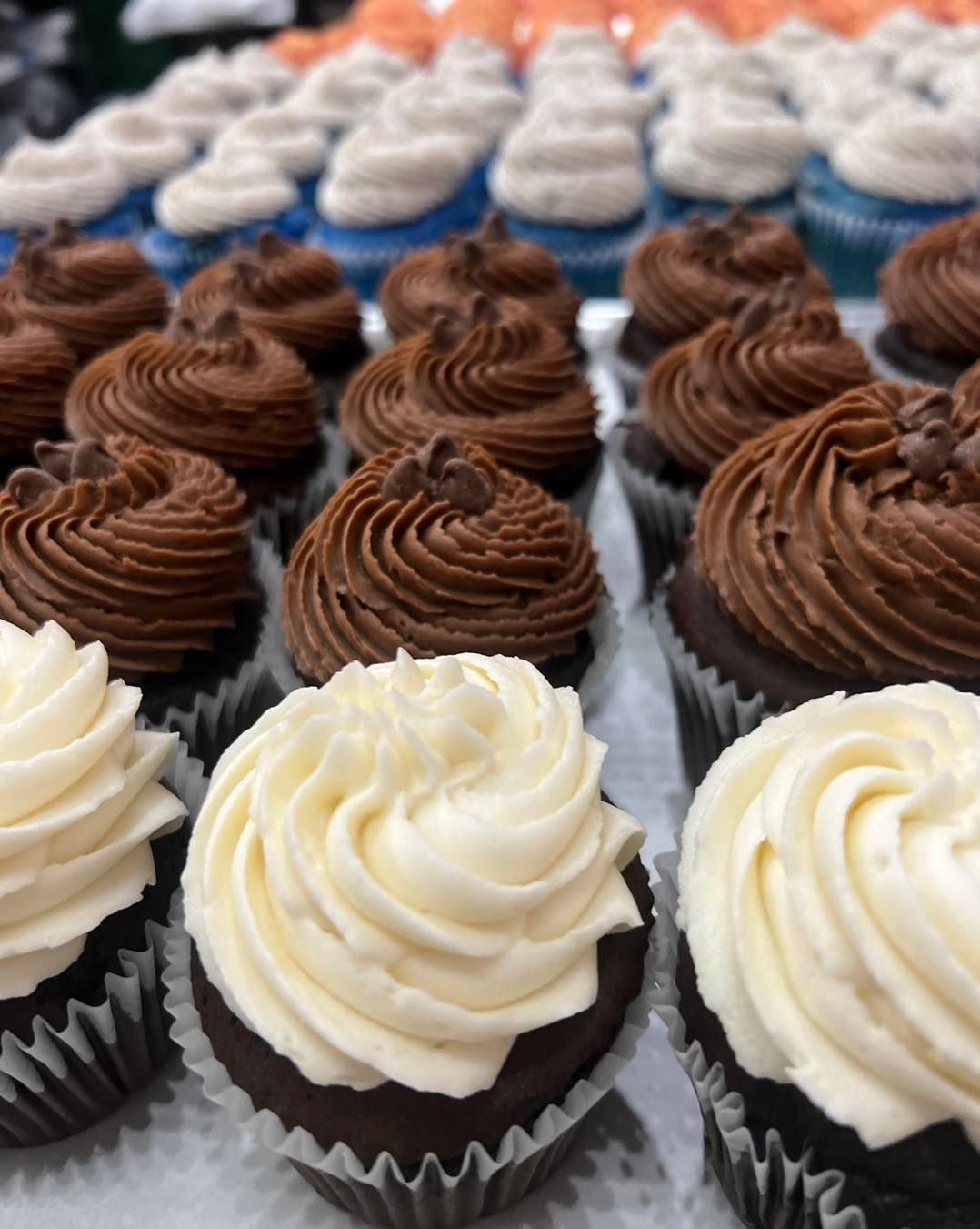 Assorted Cupcakes