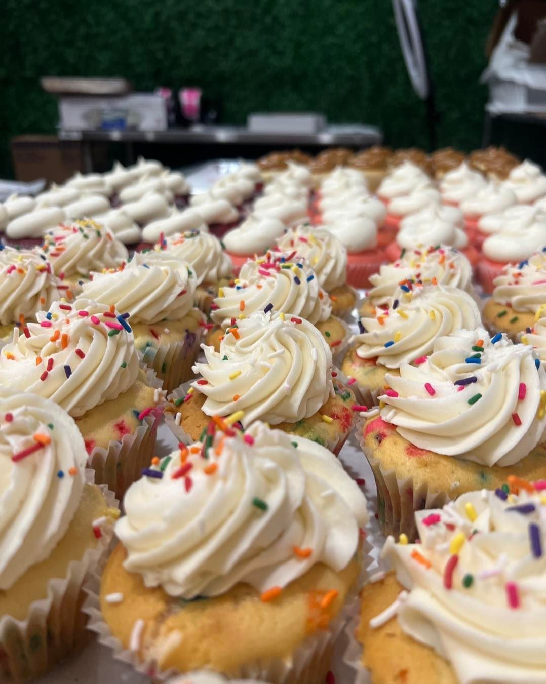 Assorted Cupcakes