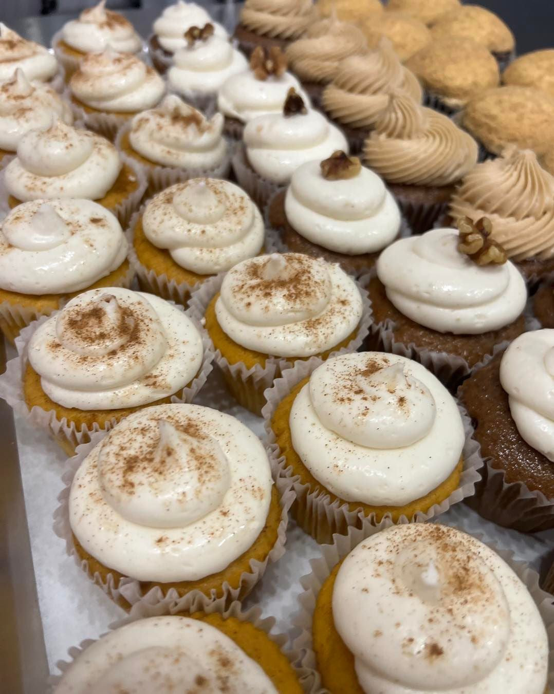 Assorted Cupcakes