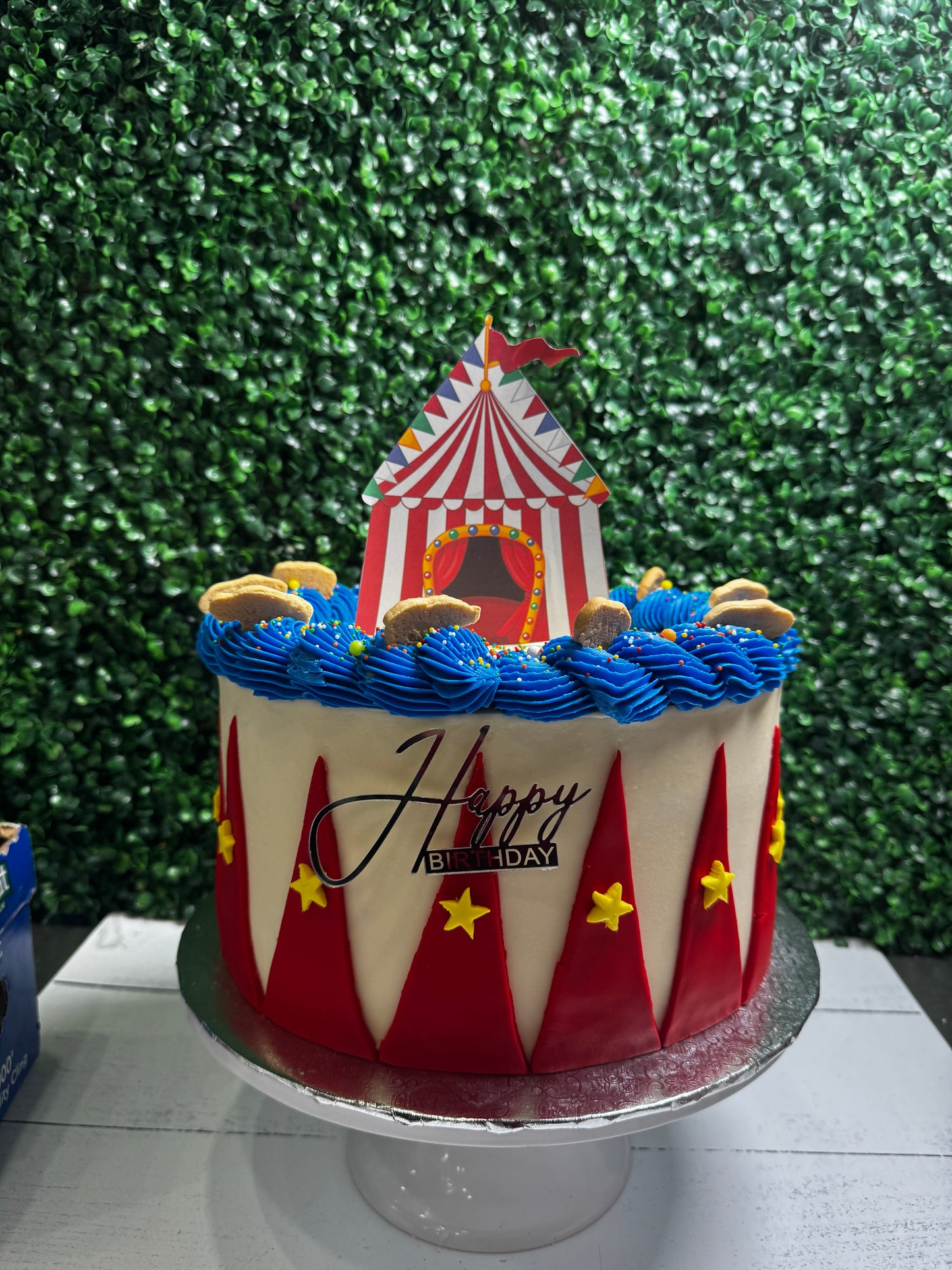 Circus inspired 2
