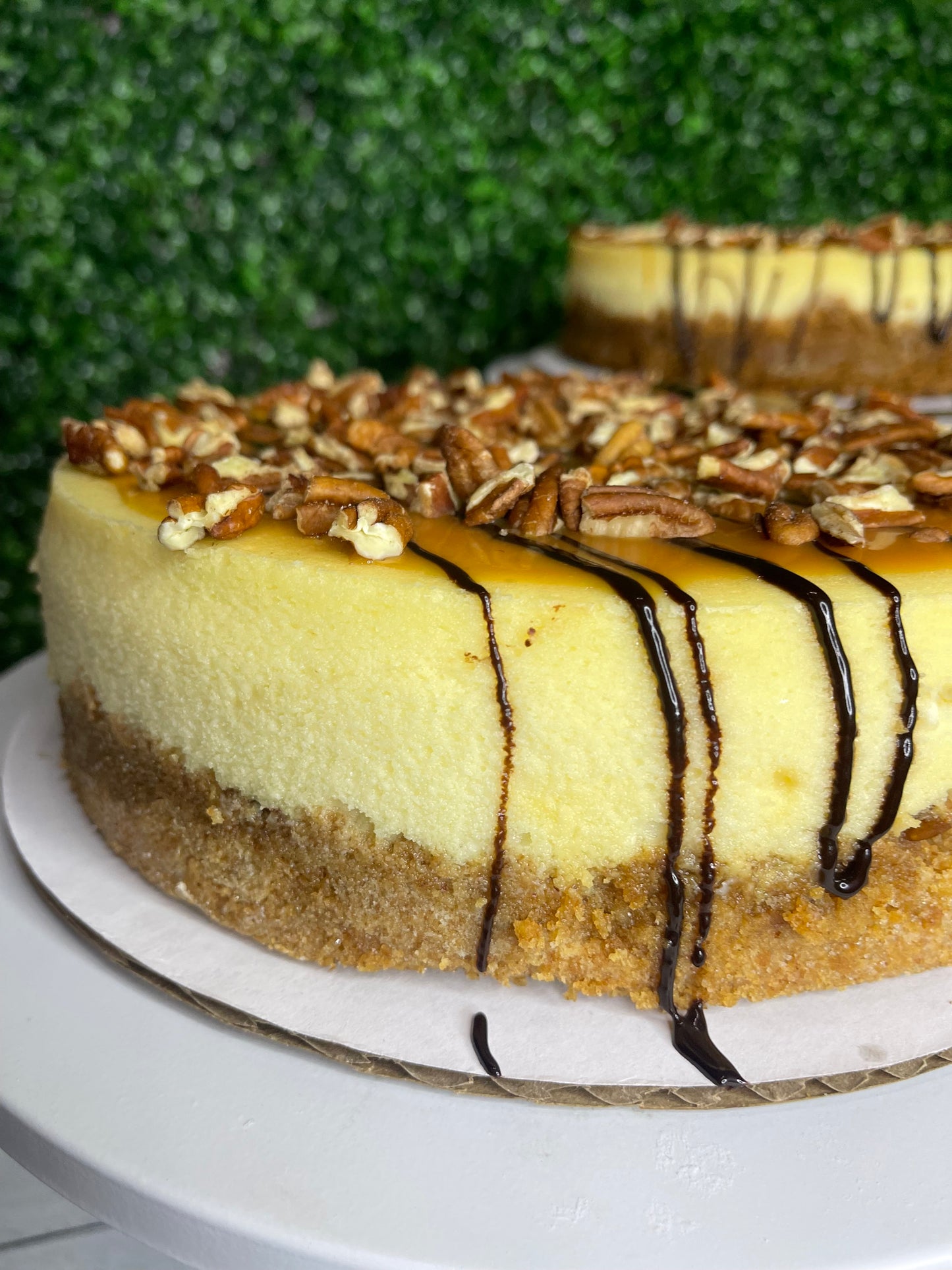 Turtle Cheesecake