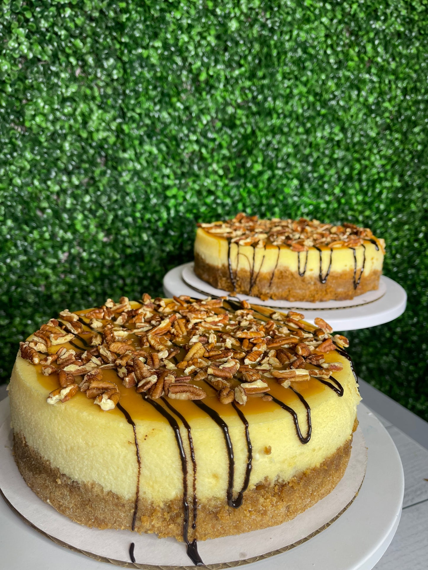 Turtle Cheesecake
