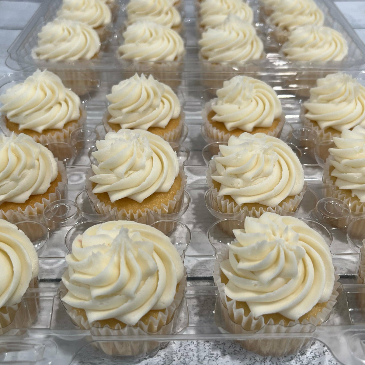 SUGAR FREE Vanilla Classic Cupcakes