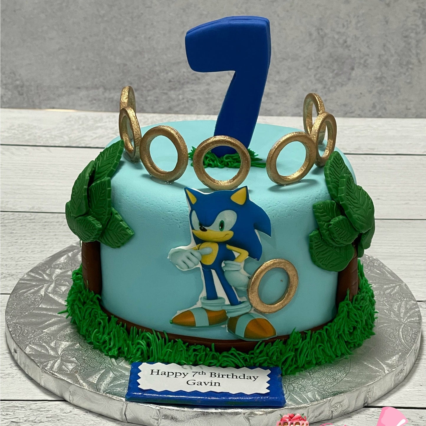 Sonic the Hedgehog