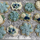 Signature Buttercream Cookie Collection