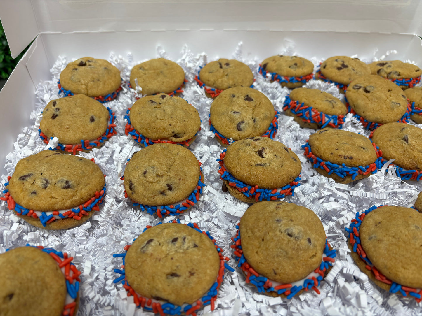 Chocolate Chip Doozies