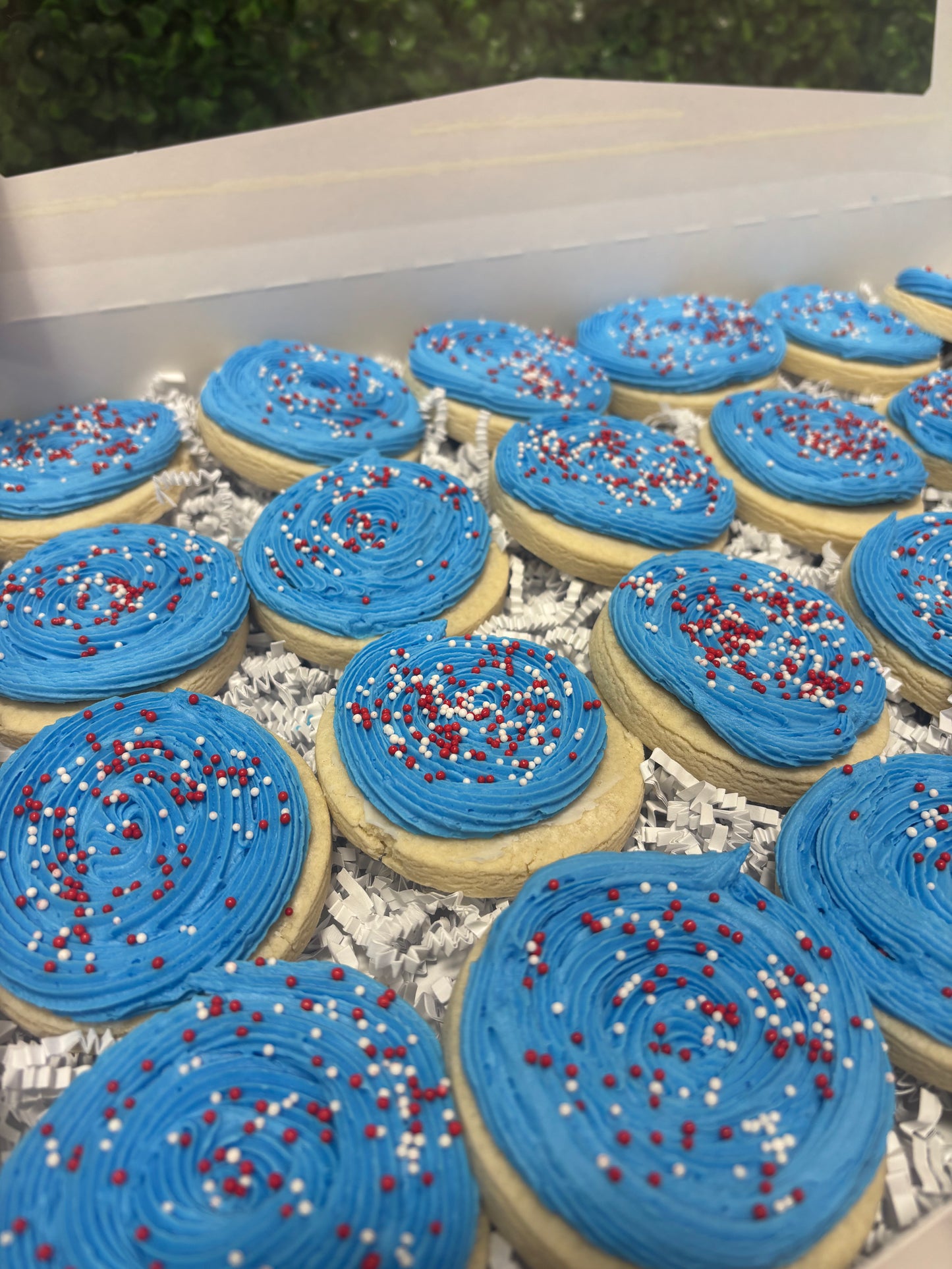 The Signature Sprinkle Iced Sugar Cookie-24 count