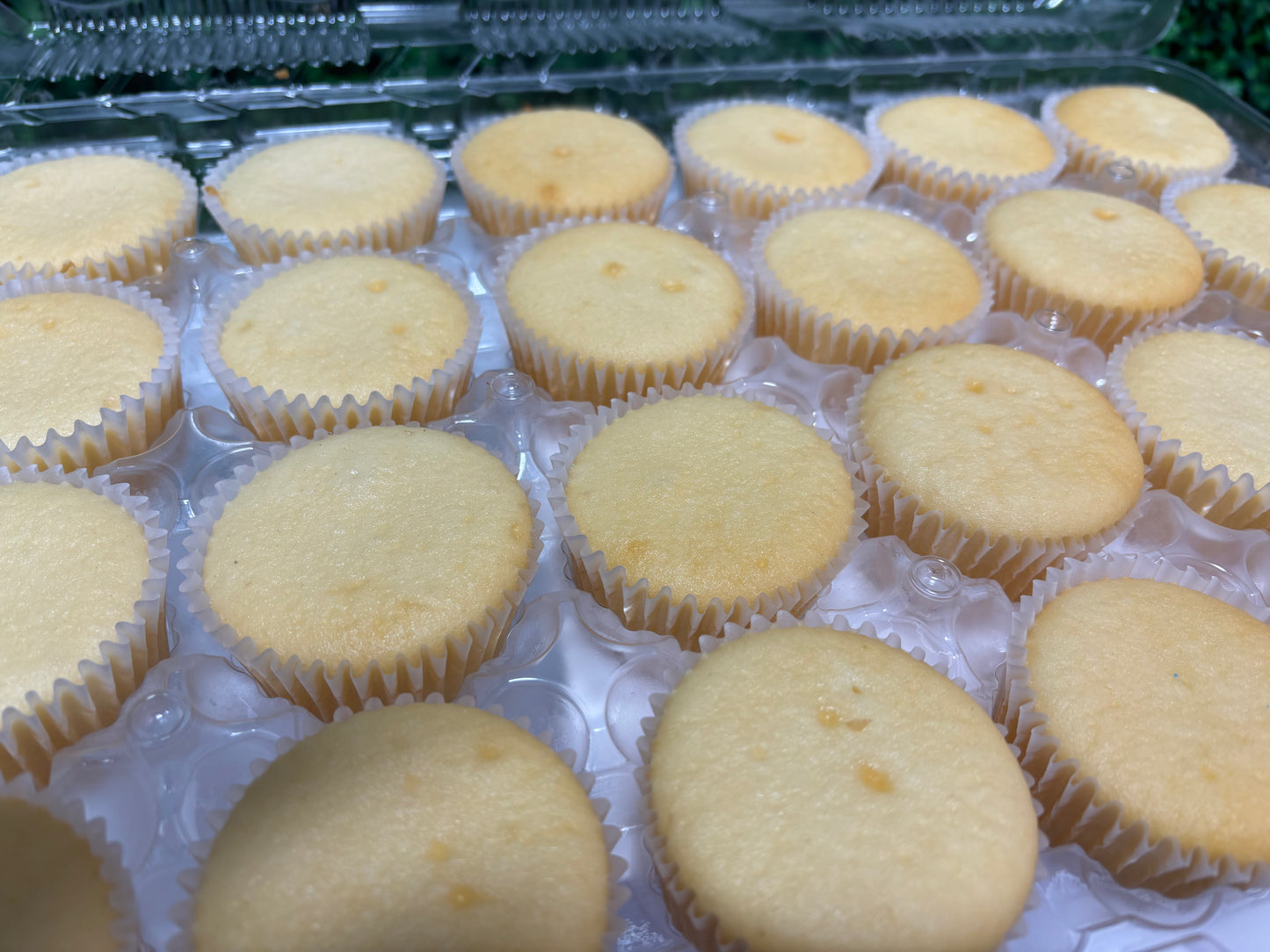 Uniced  Standard Cupcakes (4dz minimum)