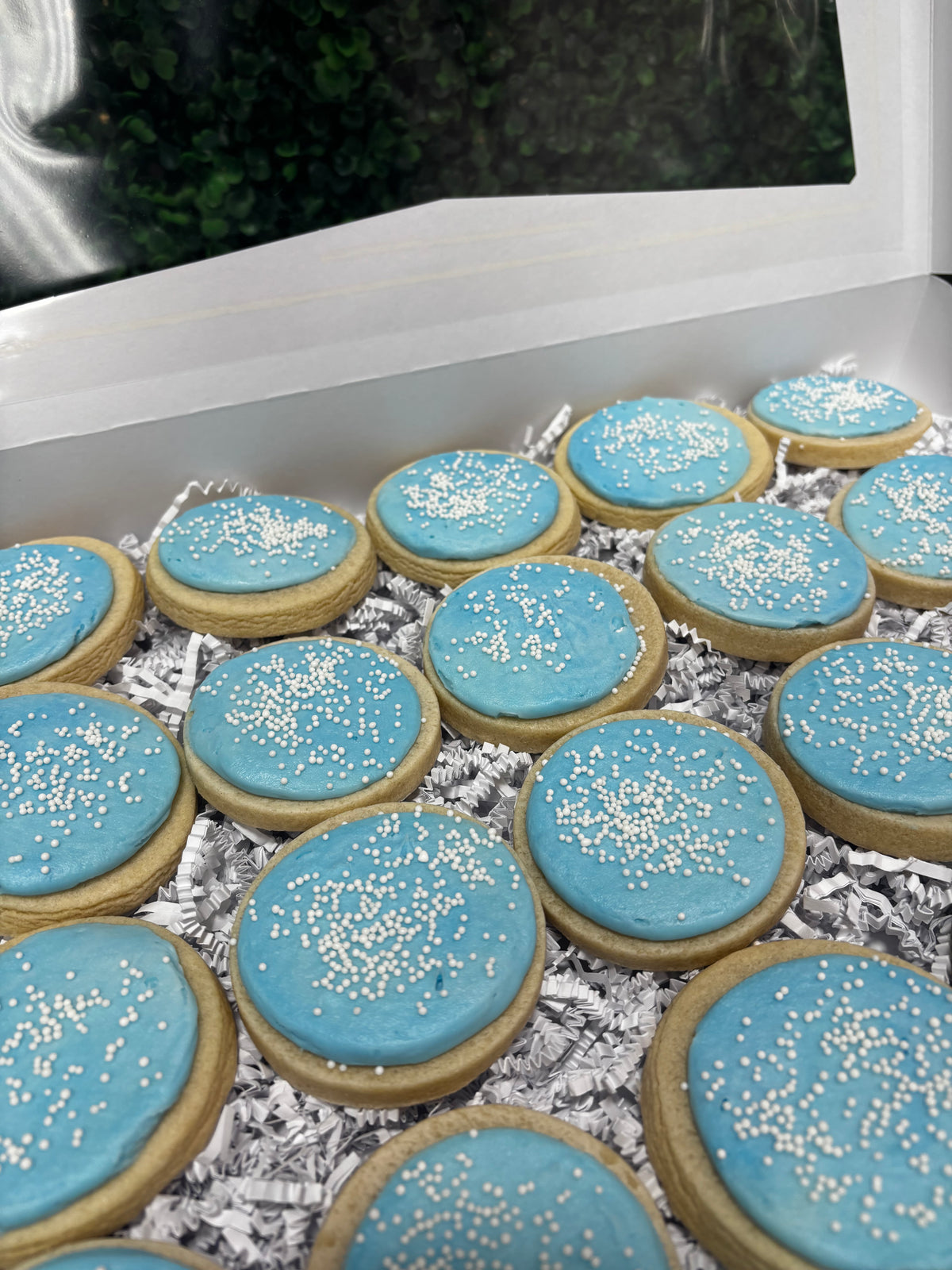 The Signature Sprinkle Iced Sugar Cookie-24 count