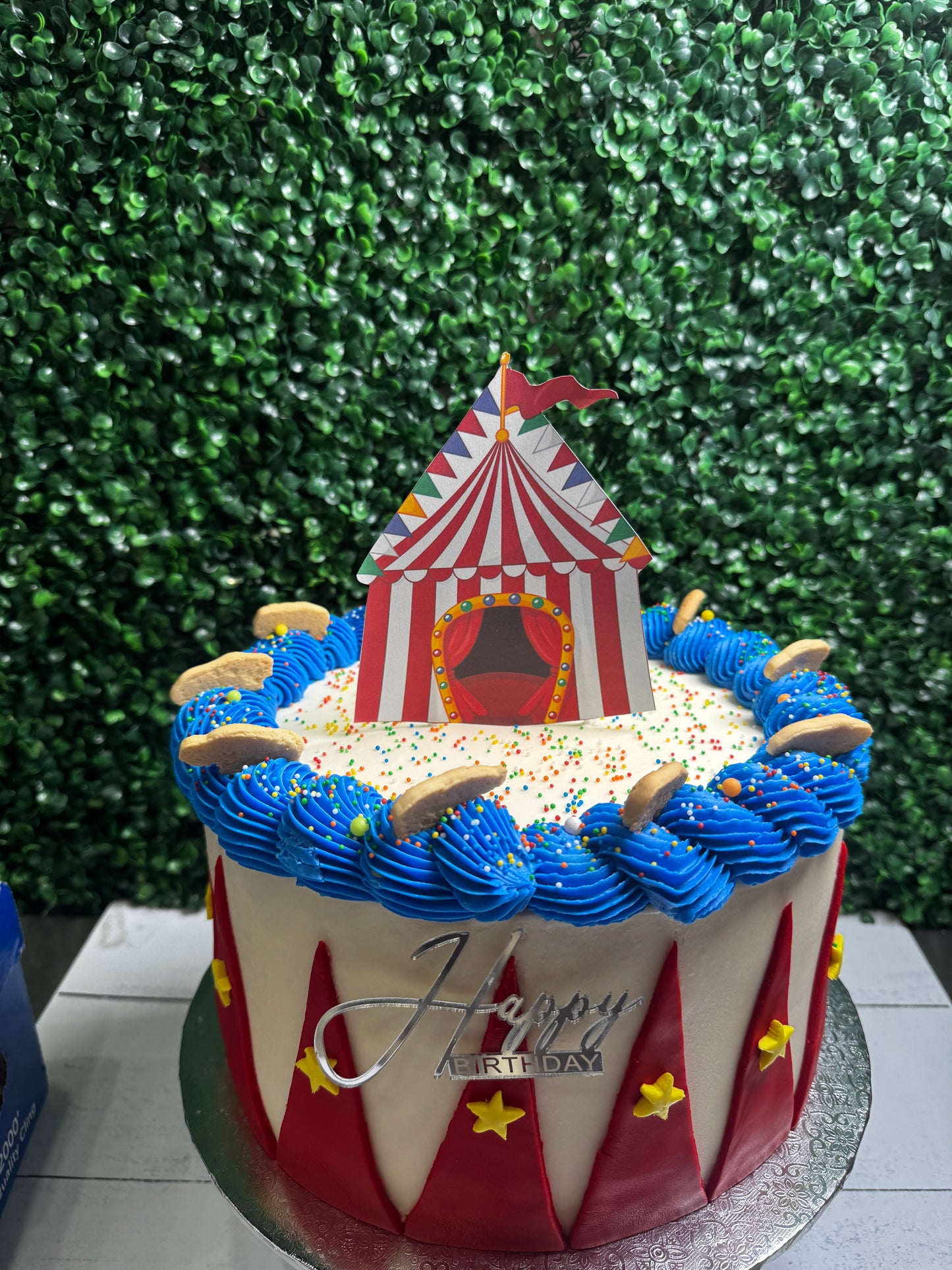 Circus inspired 2