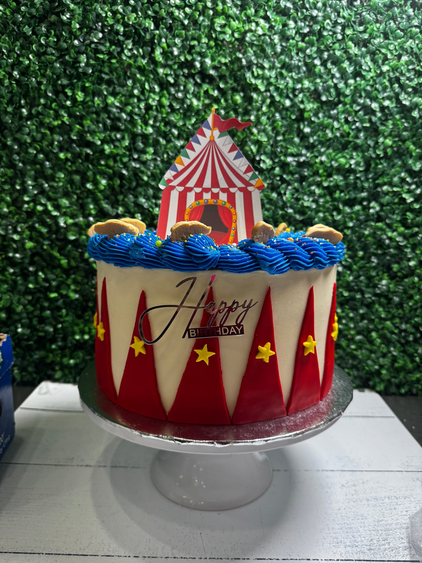 Circus inspired 2