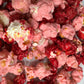 V-Day Candied Popcorn