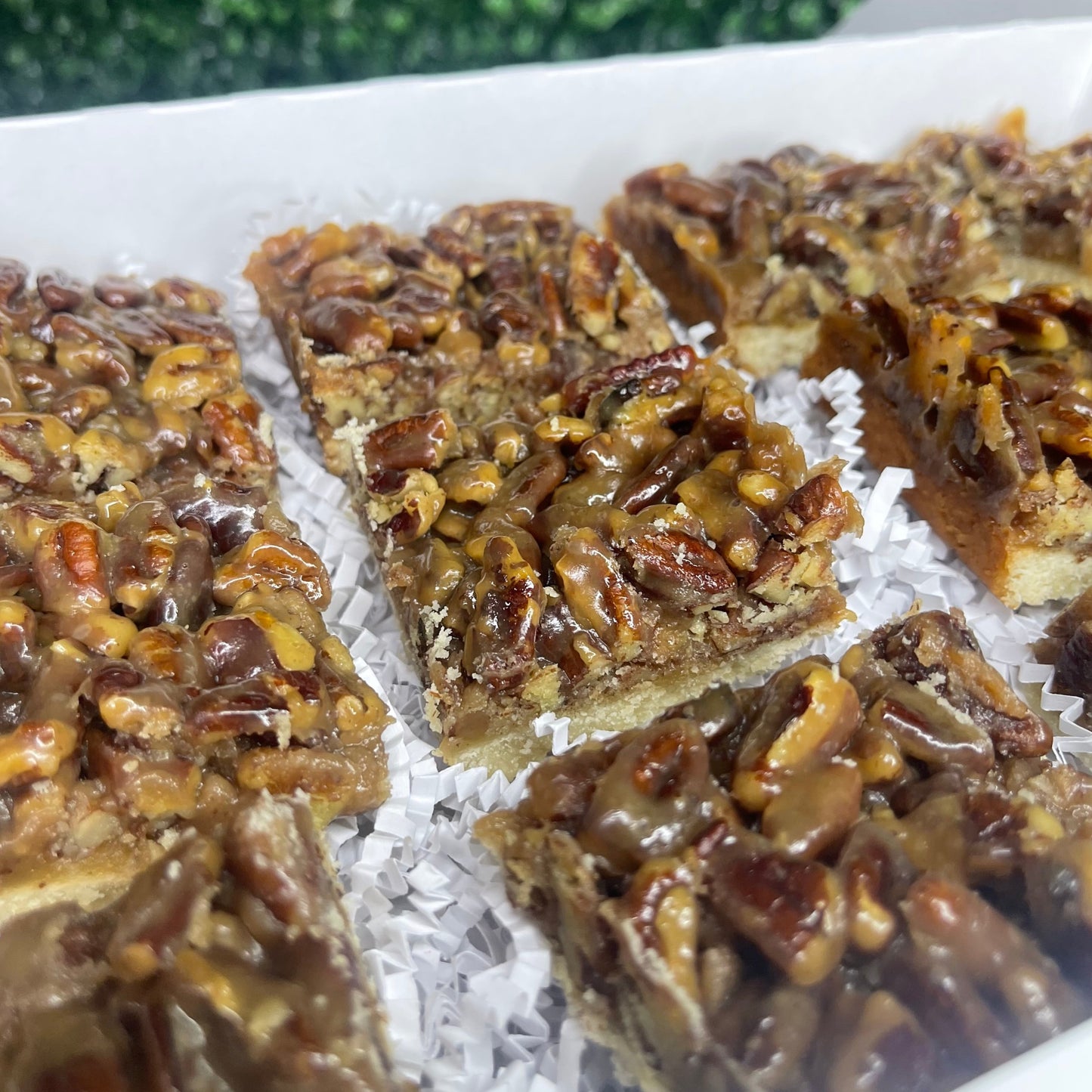 Pecan bars