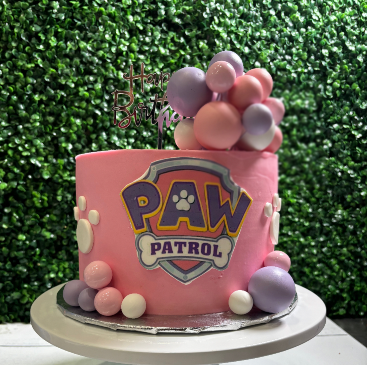 Paw Patrol Celebration I